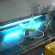 Illustration for article titled How Ultraviolet Light Will Sterilize Super Bugs
